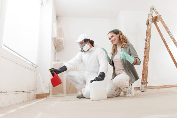 Best Water Damage & Mold Remediation  in Boothwyn, PA